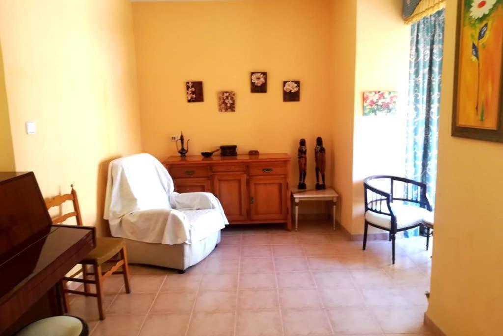 Bonito Apartamento Centro Onil Eksteriør billede